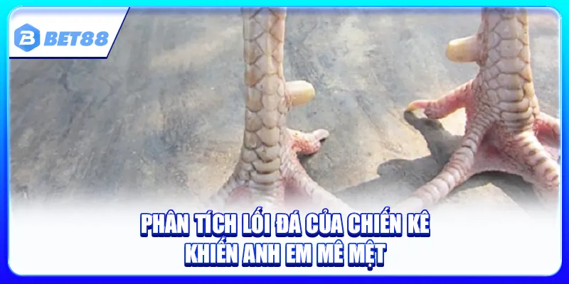 Vảy Song Phủ Đao